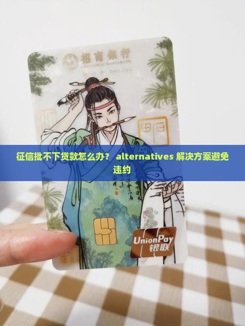 征信批不下贷款怎么办？ alternatives 解决方案避免违约