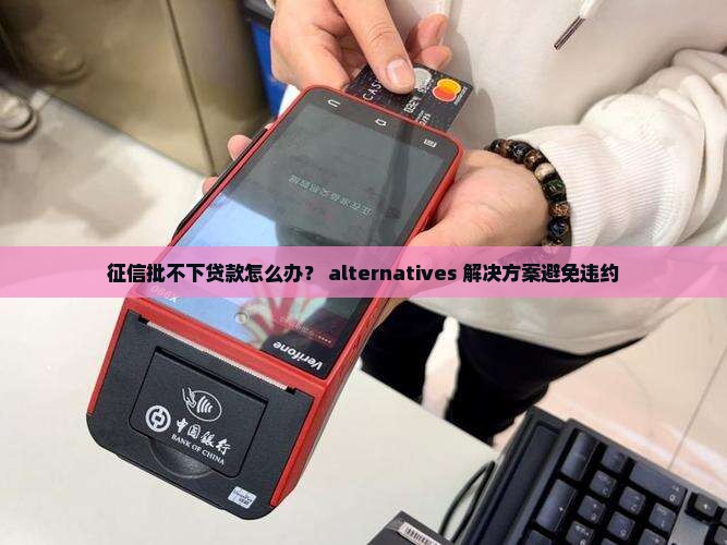 征信批不下贷款怎么办？ alternatives 解决方案避免违约