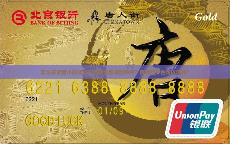 怎么样能借小额贷款？需要满足哪些条件？有哪些平台可以选择？