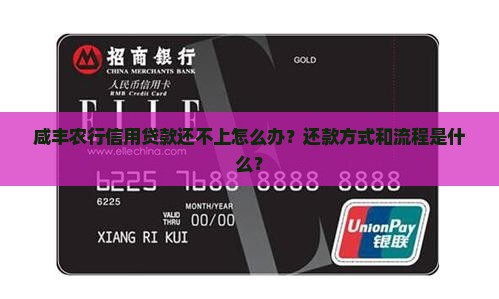 咸丰农行信用贷款还不上怎么办？还款方式和流程是什么？