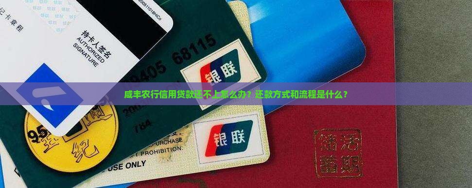咸丰农行信用贷款还不上怎么办？还款方式和流程是什么？