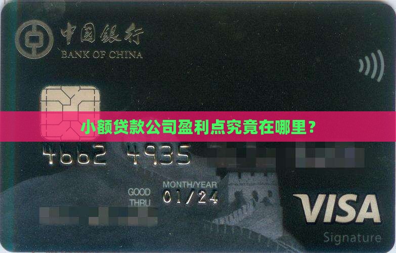小额贷款公司盈利点究竟在哪里？