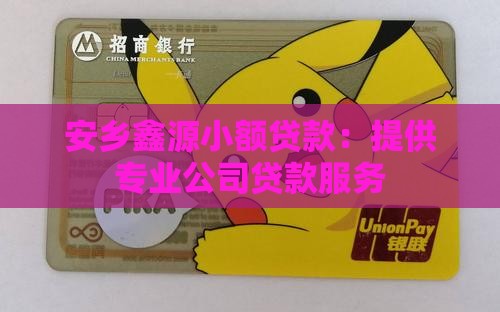 安乡鑫源小额贷款：提供专业公司贷款服务