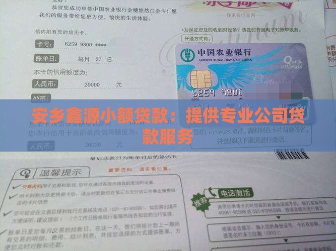 安乡鑫源小额贷款：提供专业公司贷款服务