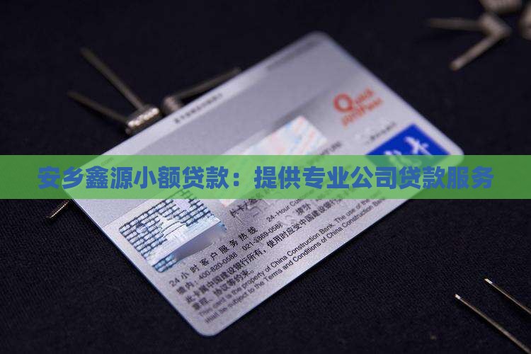 安乡鑫源小额贷款：提供专业公司贷款服务