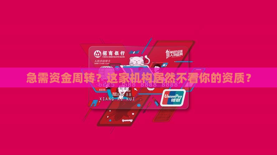 急需资金周转？这家机构居然不看你的资质？