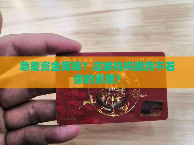 急需资金周转？这家机构居然不看你的资质？