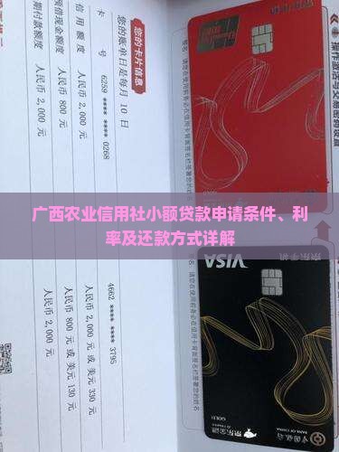 广西农业信用社小额贷款申请条件、利率及还款方式详解