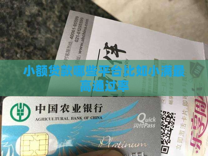 小额贷款哪些平台比如小满最高通过率