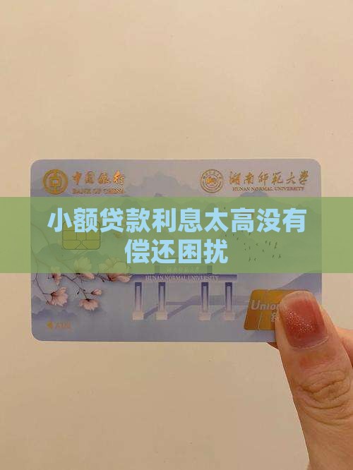 小额贷款利息太高没有偿还困扰