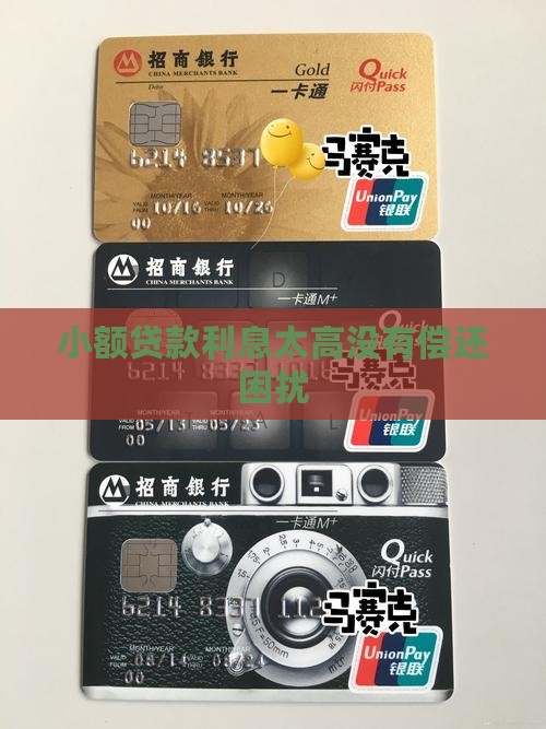 小额贷款利息太高没有偿还困扰