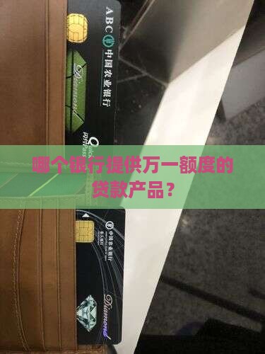 哪个银行提供万一额度的贷款产品？