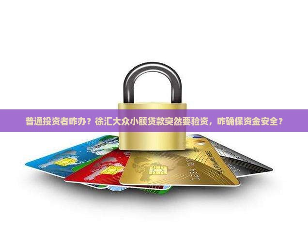 普通投资者咋办？徐汇大众小额贷款突然要验资，咋确保资金安全？