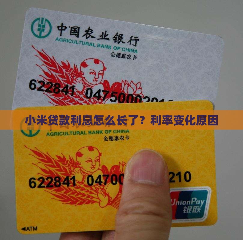 小米贷款利息怎么长了？利率变化原因