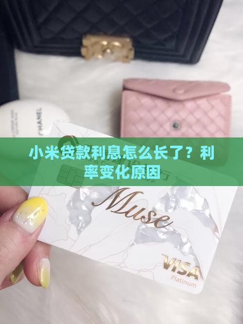 小米贷款利息怎么长了？利率变化原因