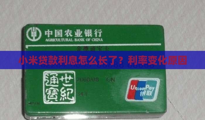 小米贷款利息怎么长了？利率变化原因