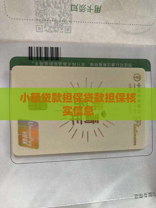 小额贷款担保贷款担保核实信息