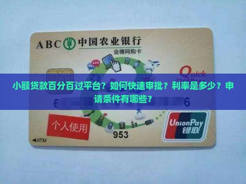 小额贷款百分百过平台？如何快速审批？利率是多少？申请条件有哪些？