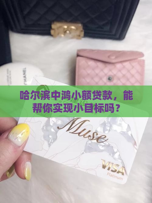 哈尔滨中鸿小额贷款，能帮你实现小目标吗？