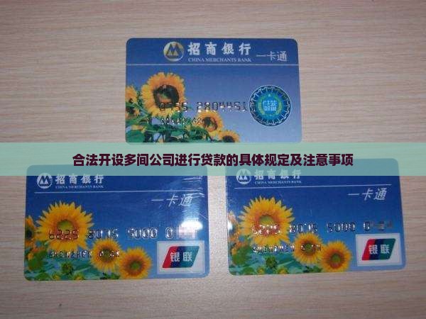 合法开设多间公司进行贷款的具体规定及注意事项