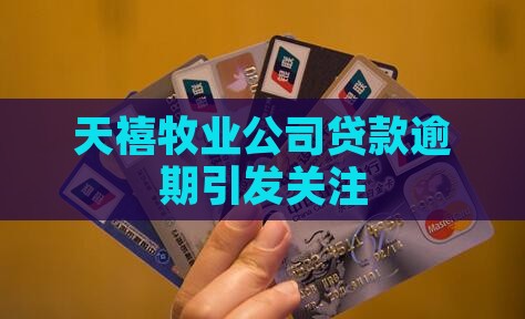 天禧牧业公司贷款逾期引发关注