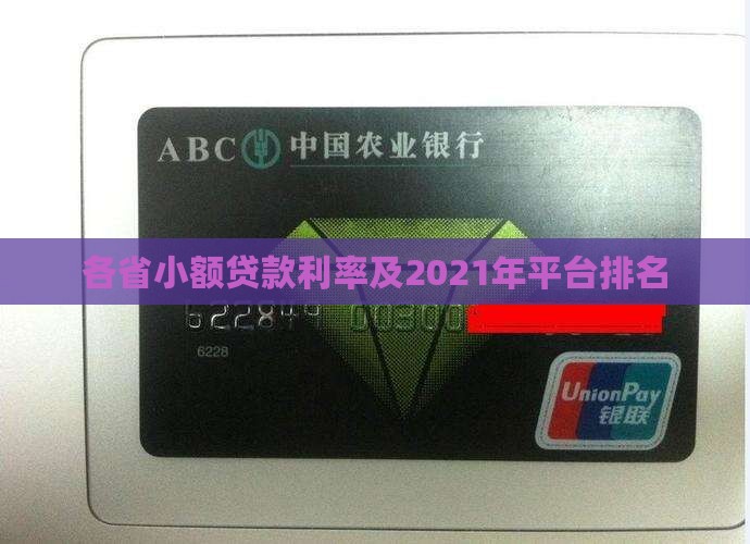 各省小额贷款利率及2021年平台排名