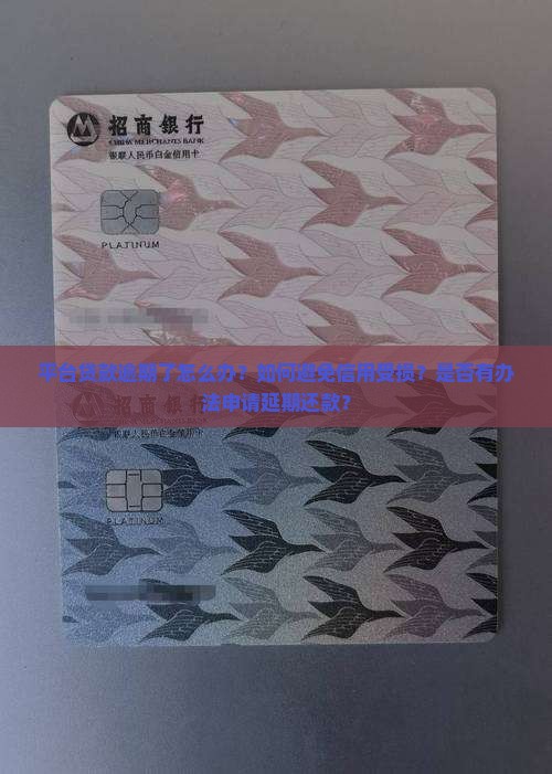 平台贷款逾期了怎么办？如何避免信用受损？是否有办法申请延期还款？