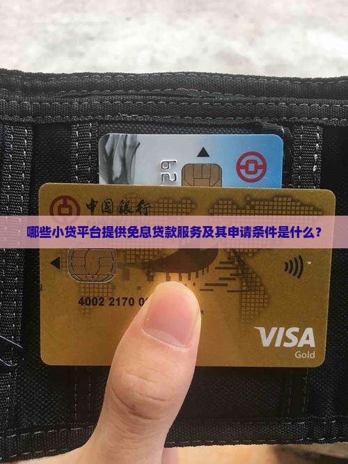 哪些小贷平台提供免息贷款服务及其申请条件是什么？