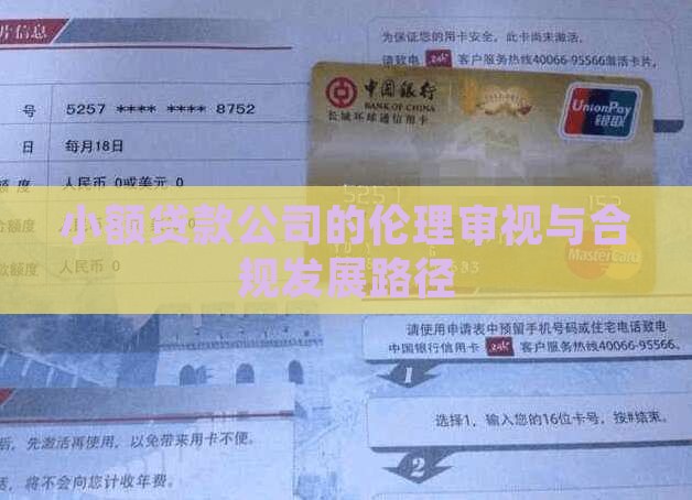 小额贷款公司的伦理审视与合规发展路径