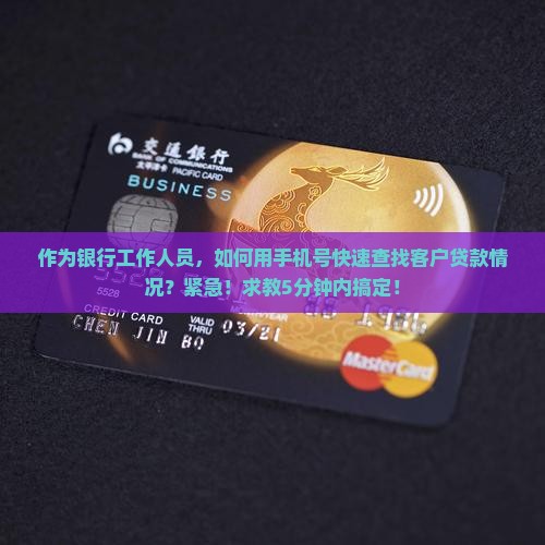 作为银行工作人员，如何用手机号快速查找客户贷款情况？紧急！求教5分钟内搞定！