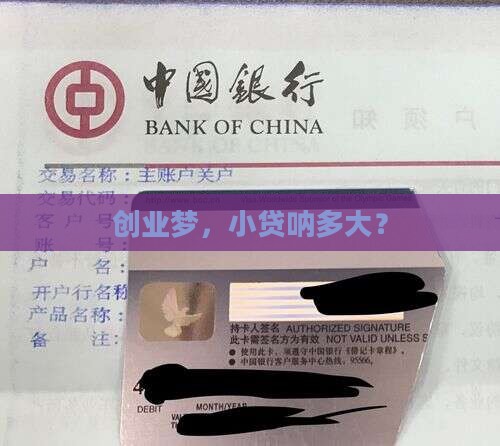 创业梦，小贷呐多大？