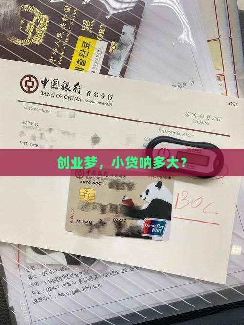 创业梦，小贷呐多大？