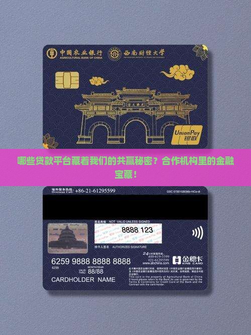 哪些贷款平台藏着我们的共赢秘密？合作机构里的金融宝藏！