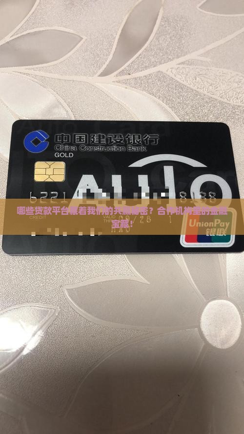 哪些贷款平台藏着我们的共赢秘密？合作机构里的金融宝藏！