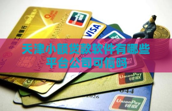 天津小额贷款软件有哪些平台公司可信吗