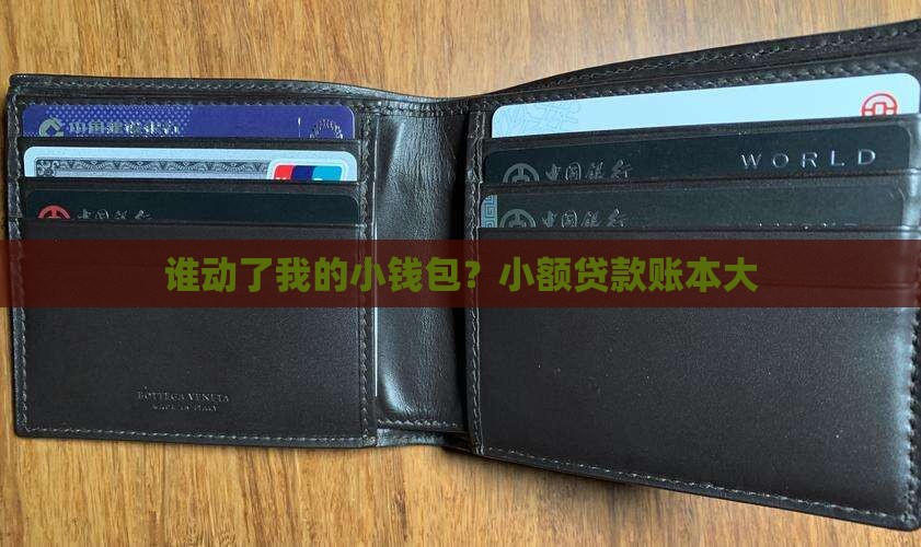 谁动了我的小钱包？小额贷款账本大