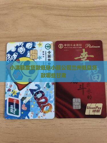 小满额度贷款低息小额公司兰州低息贷款哪些甘肃