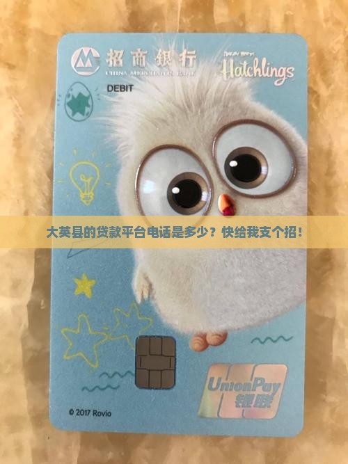 大英县的贷款平台电话是多少？快给我支个招！