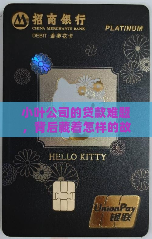 小叶公司的贷款难题，背后藏着怎样的故事？