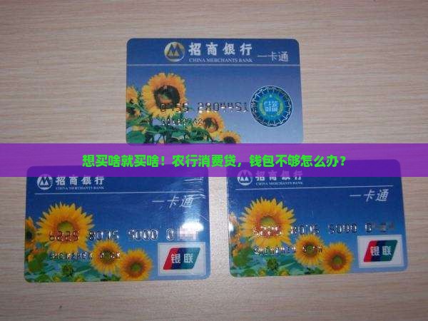 想买啥就买啥！农行消费贷，钱包不够怎么办？