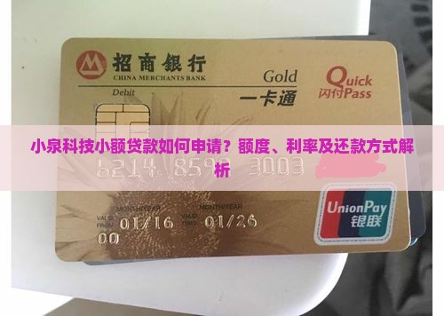 小泉科技小额贷款如何申请？额度、利率及还款方式解析