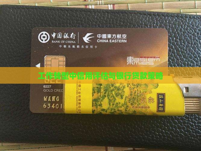 工作转型中信用评估与银行贷款策略