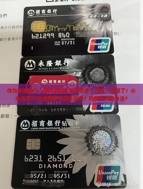 作为普通用户，面对逾期还款的焦虑：哎呀，逾期了！小米贷款30天逾期要全额还款吗？有没有别的办法？
