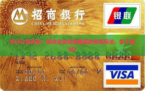 农行公司贷款：解决企业资金难题的全新玩法，你了解吗？