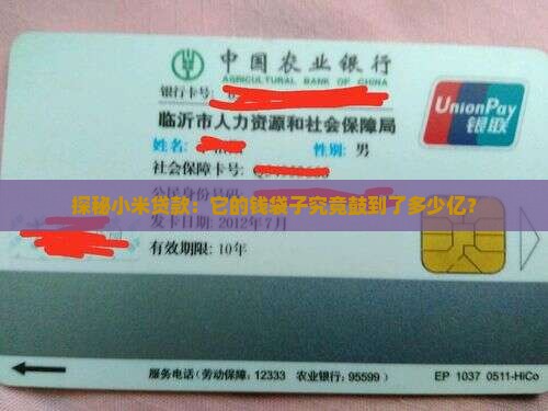 探秘小米贷款：它的钱袋子究竟鼓到了多少亿？
