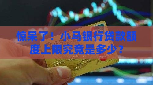 惊呆了！小马银行贷款额度上限究竟是多少？
