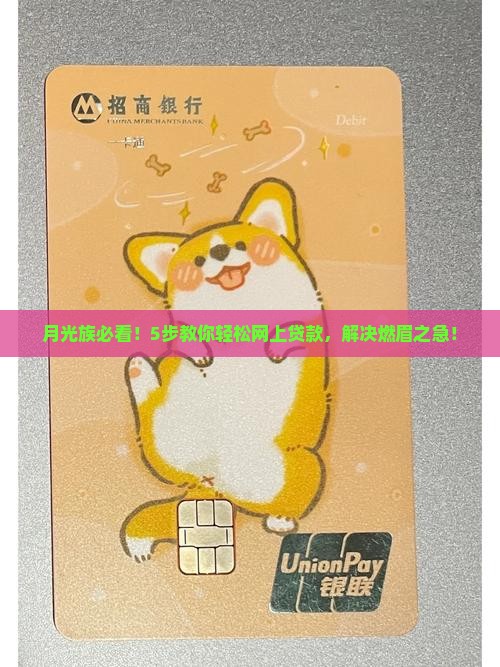 月光族必看！5步教你轻松网上贷款，解决燃眉之急！
