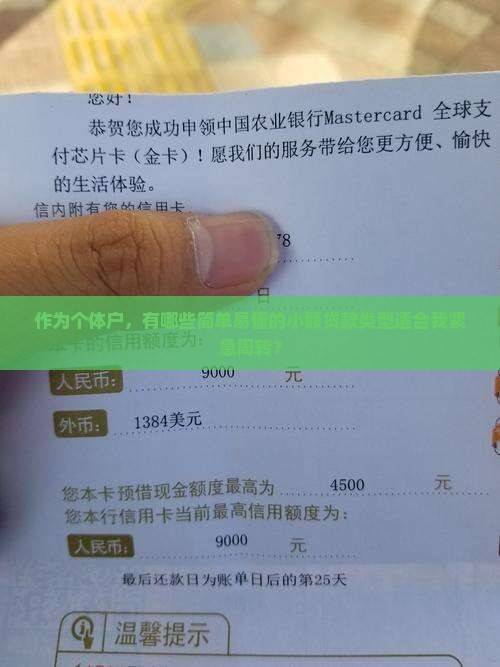 作为个体户，有哪些简单易懂的小额贷款类型适合我紧急周转？