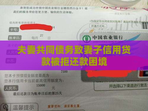 夫妻共同债务致妻子信用贷款被拒还款困境