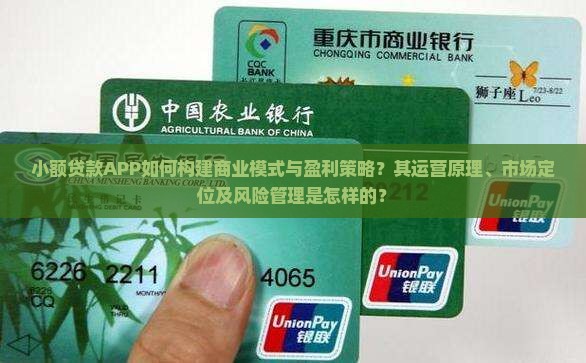 小额贷款APP如何构建商业模式与盈利策略？其运营原理、市场定位及风险管理是怎样的？